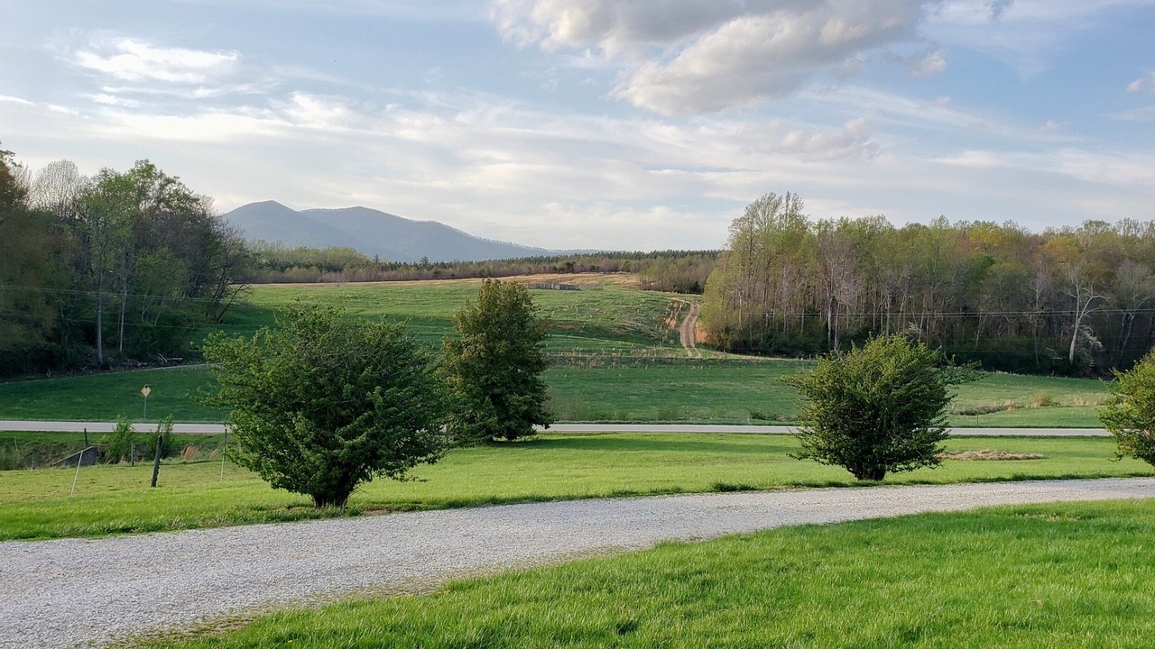 Photo of Others in Lowesville