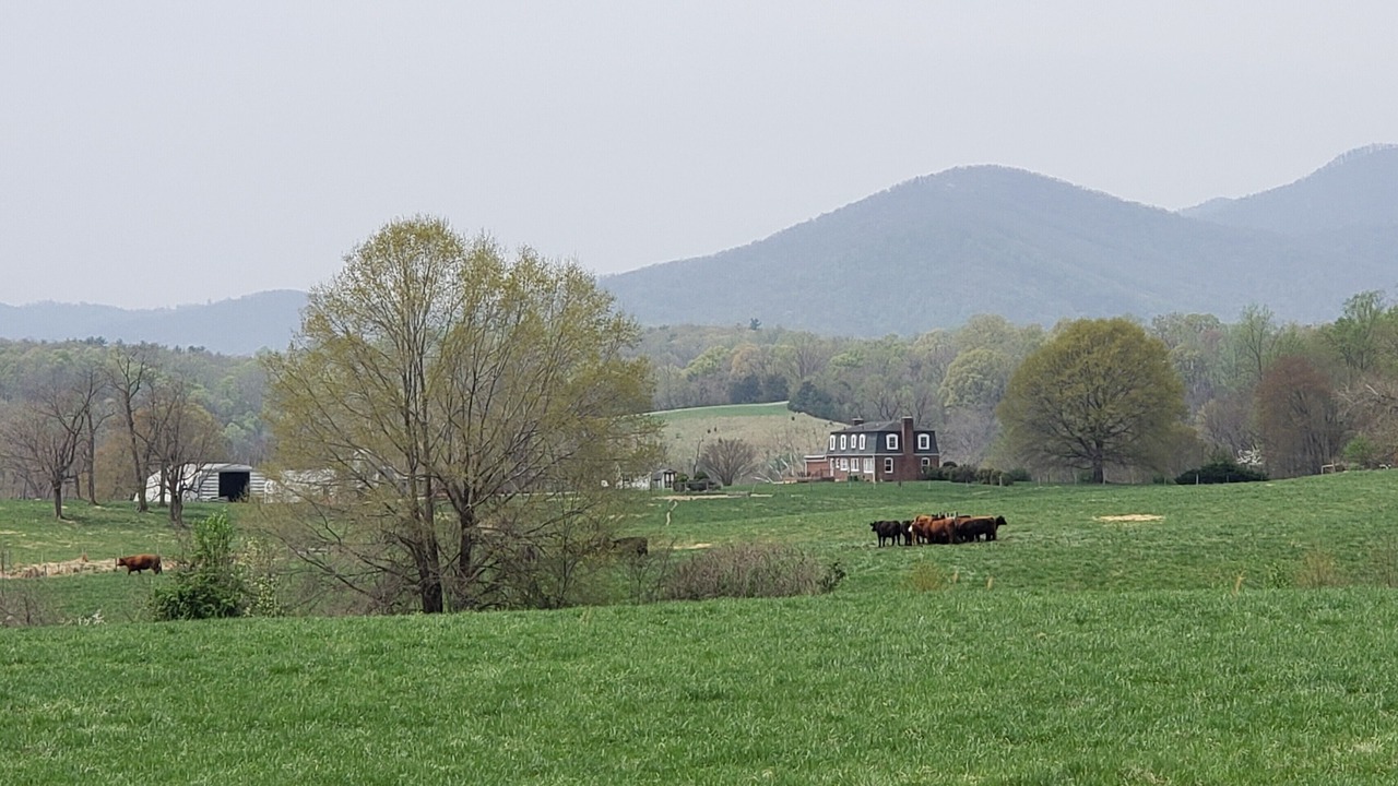 Photo of Others in Lowesville