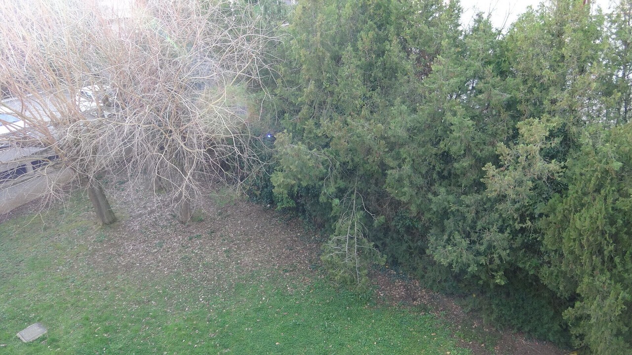 Photo of Others in Soupetard