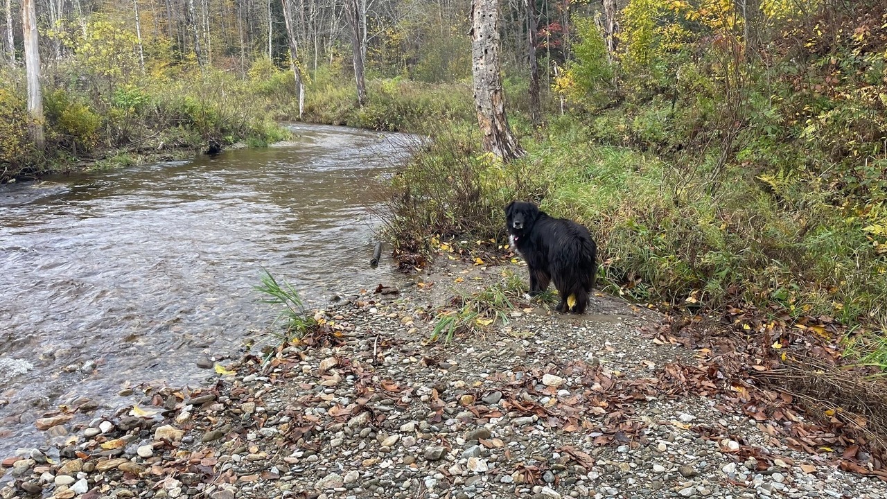 Photo of Others in Plymouth