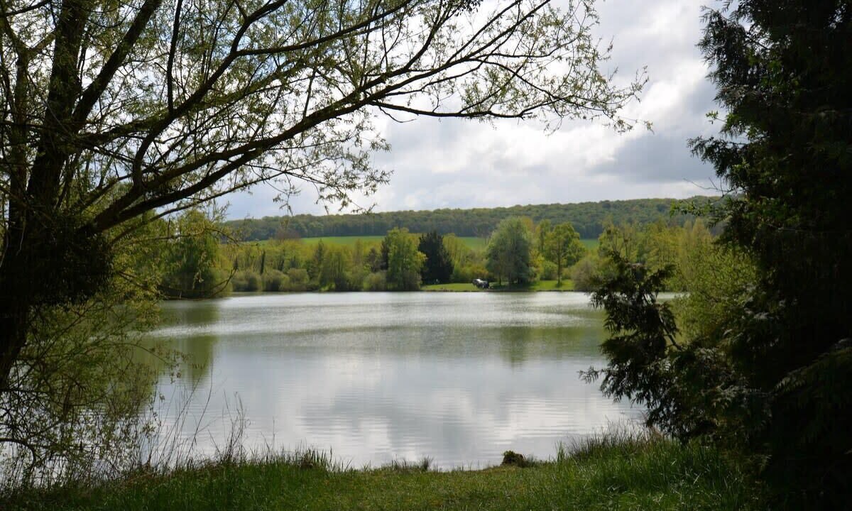 Photo of Others in Paisy-Cosdon