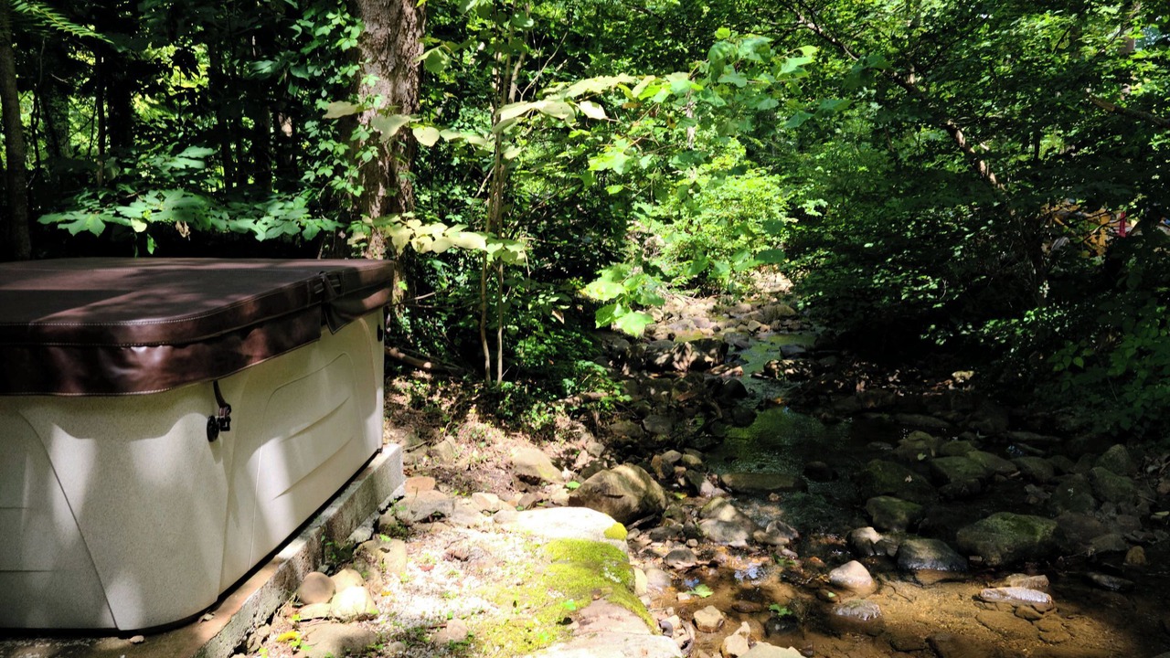 Photo of Others in Carson Springs