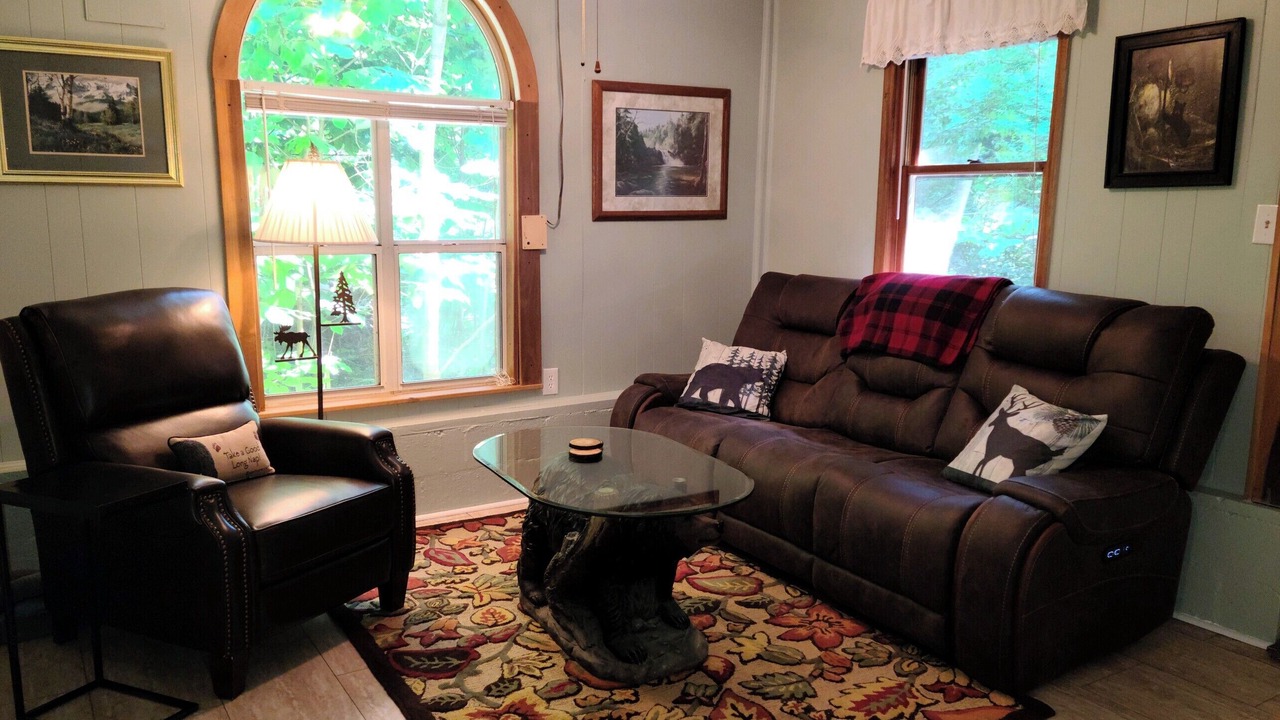 Photo of Livingroom in Carson Springs