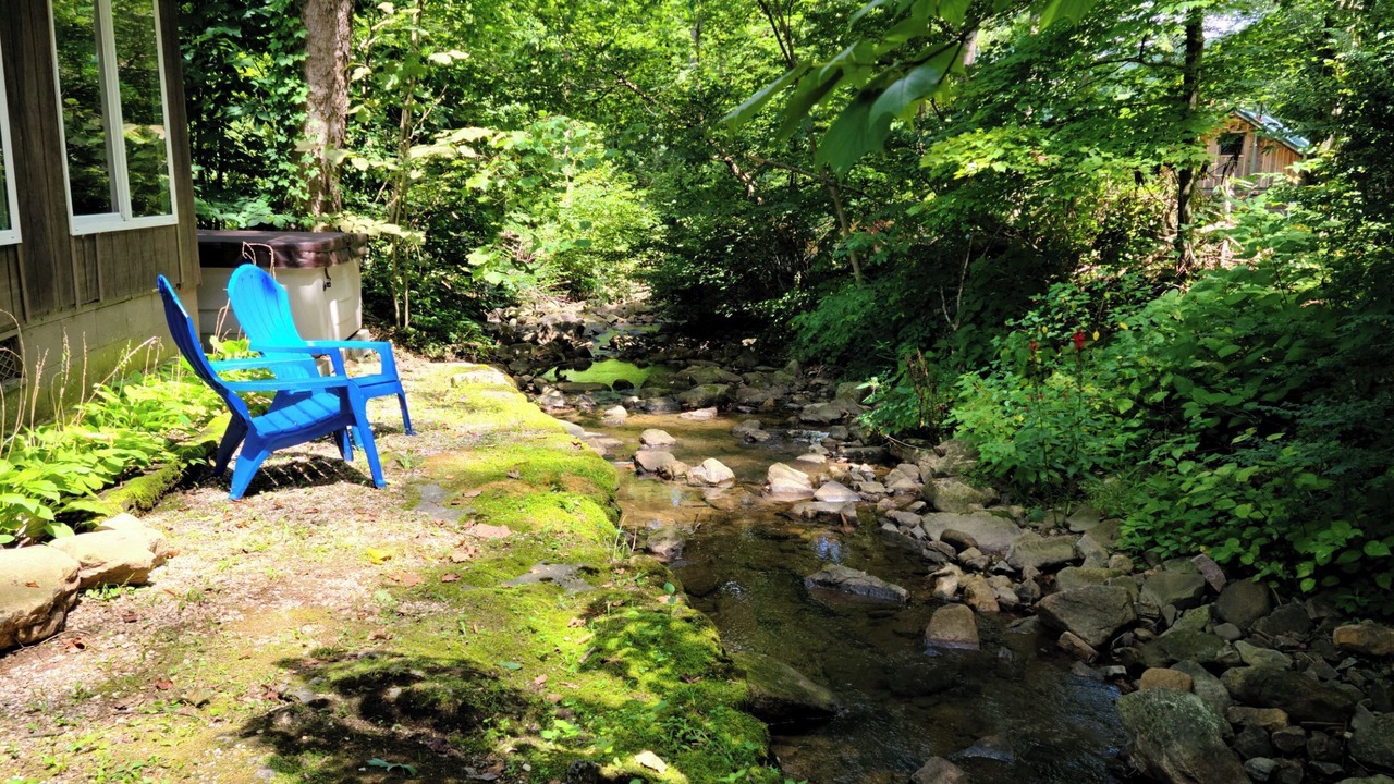 Photo of Outdoor in Carson Springs