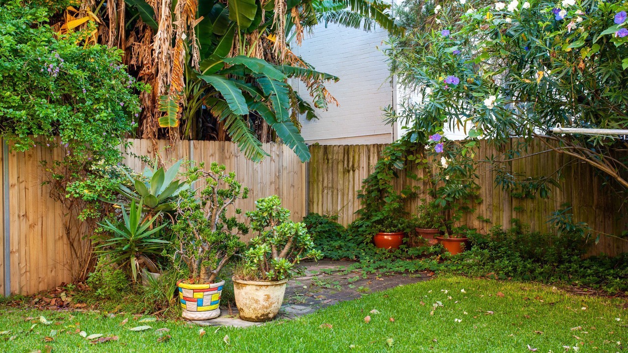 Photo of Outdoor in Coogee