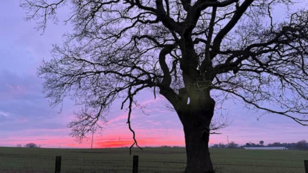 Photo of Others in Nantwich