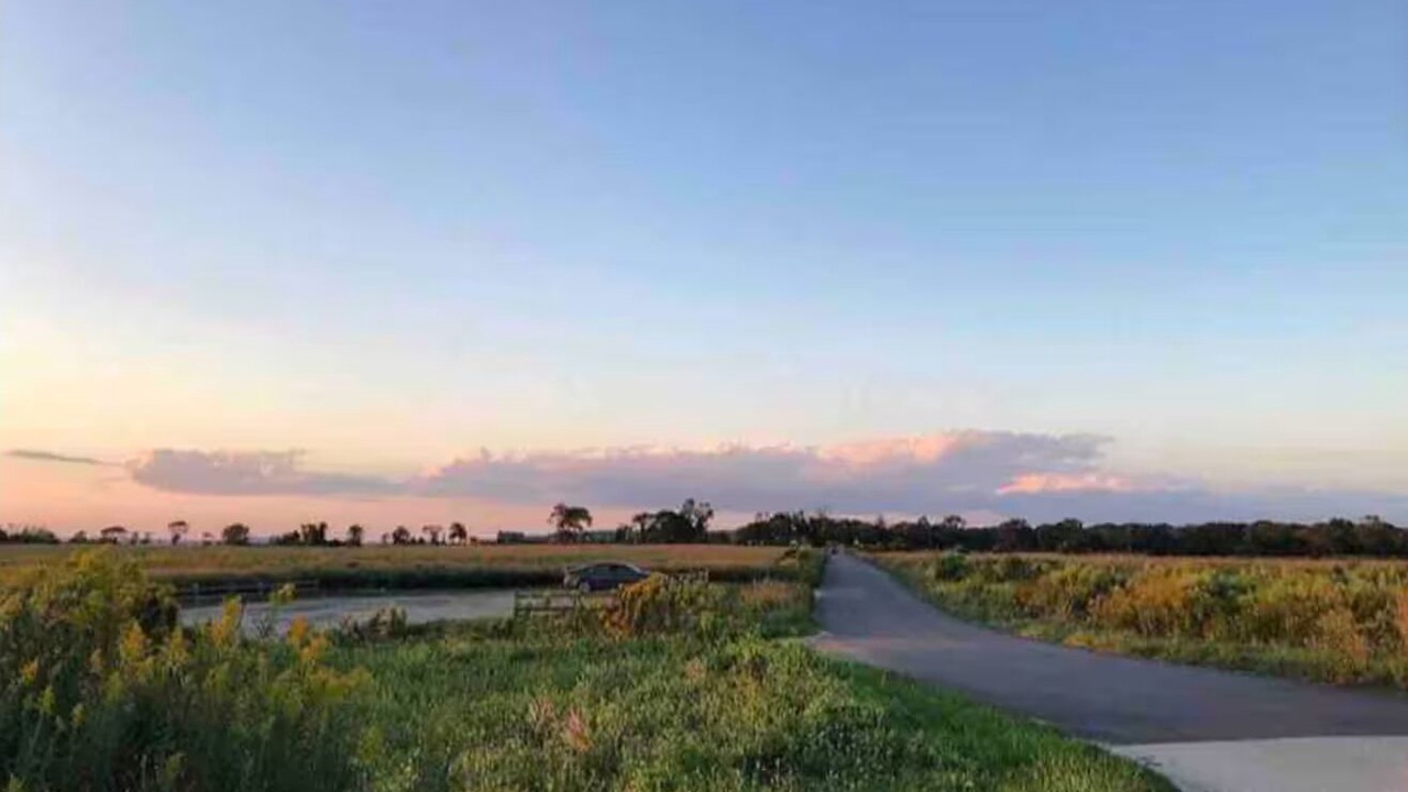 Photo of Others in Tiverton