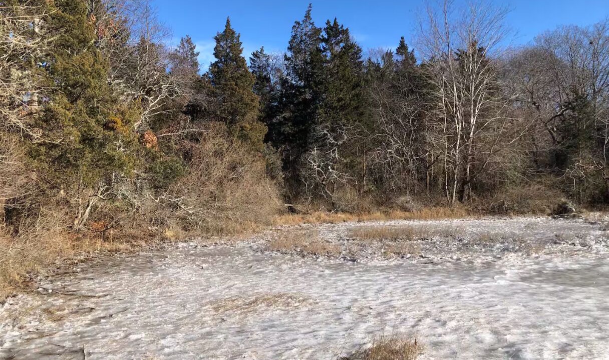 Photo of Others in Tiverton