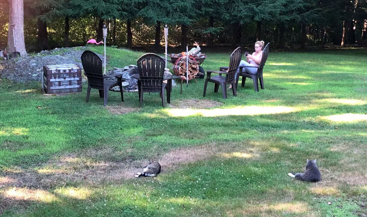 Photo of Outdoor in Tiverton