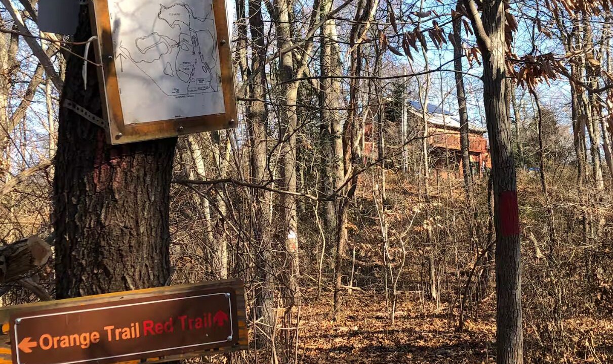 Photo of Others in Tiverton