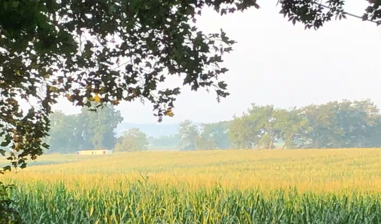 Photo of Others in Tiverton