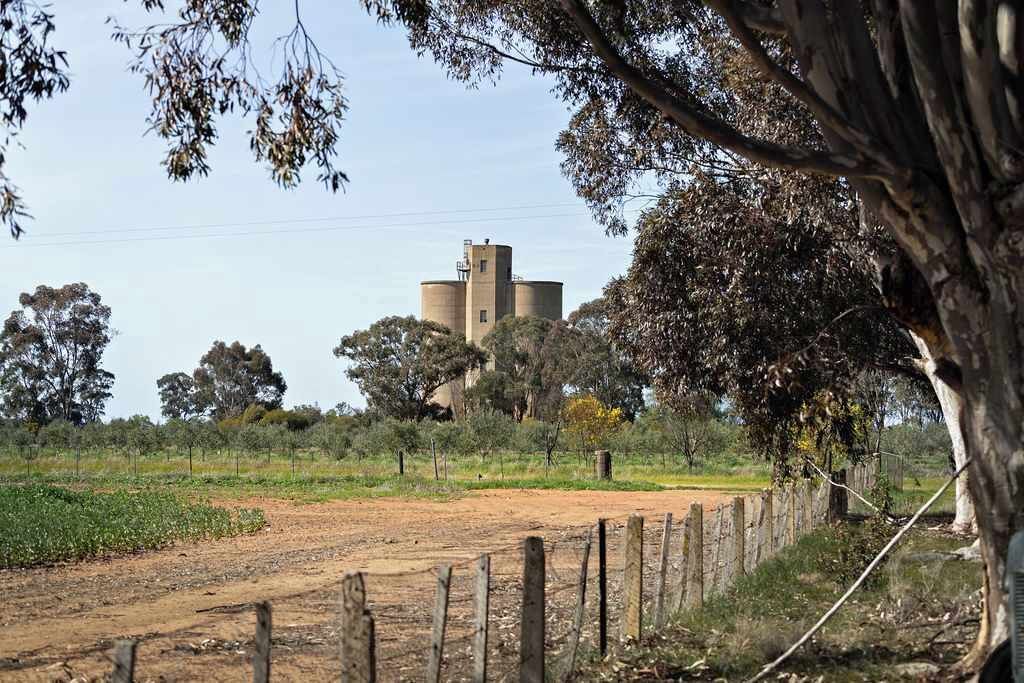 Photo of Others in Youanmite