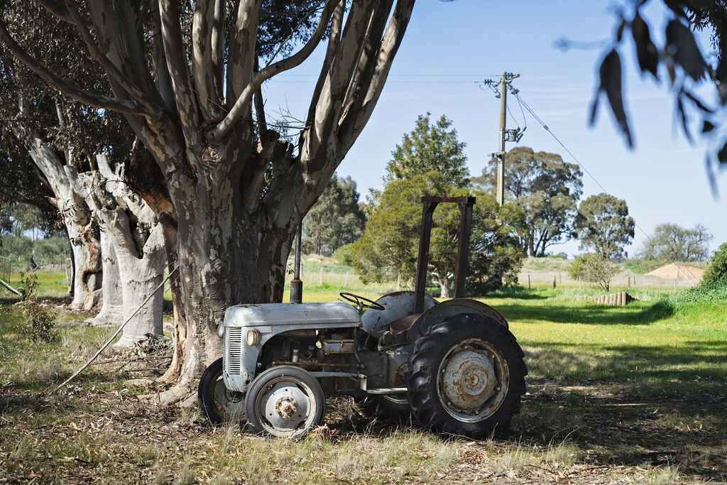 Photo of Others in Youanmite