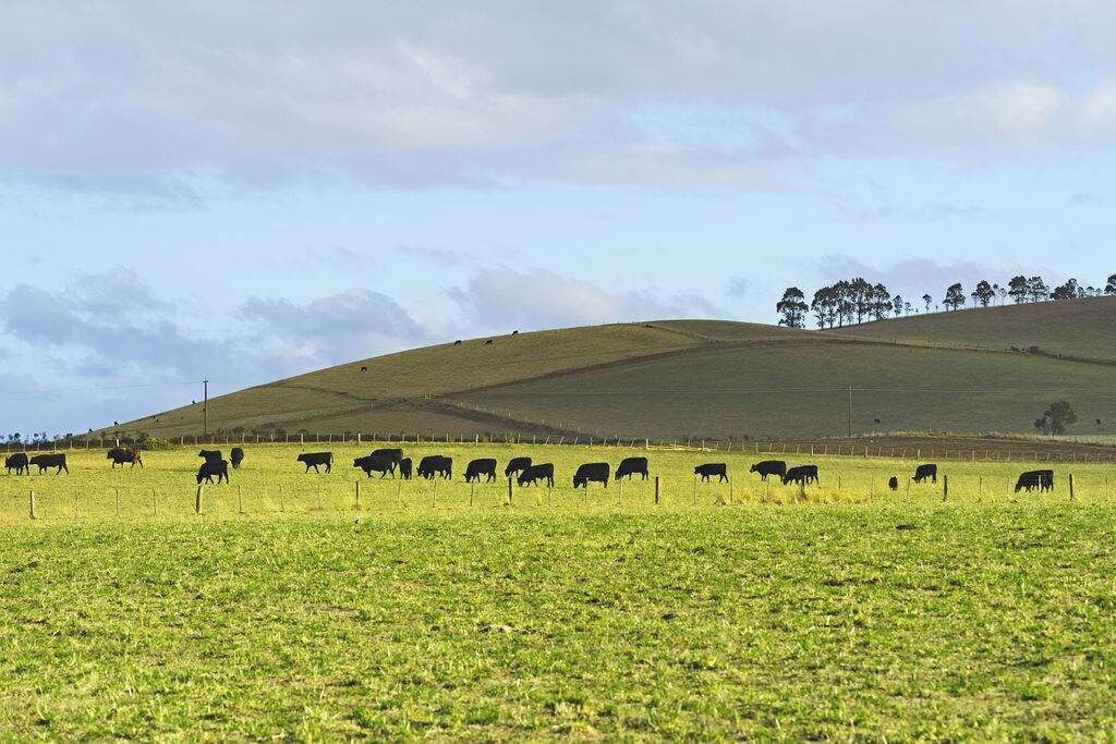 Photo of Others in Glenlyon
