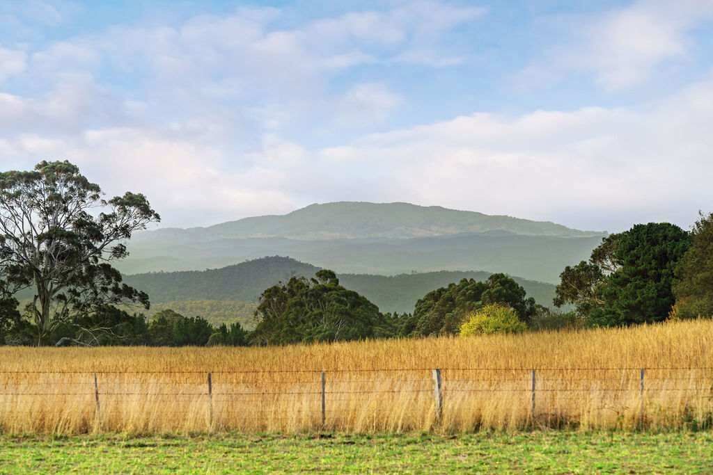 Photo of Others in Glenlyon
