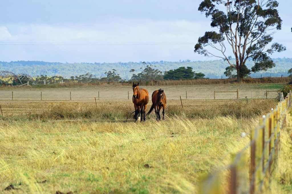 Photo of Others in Glenlyon