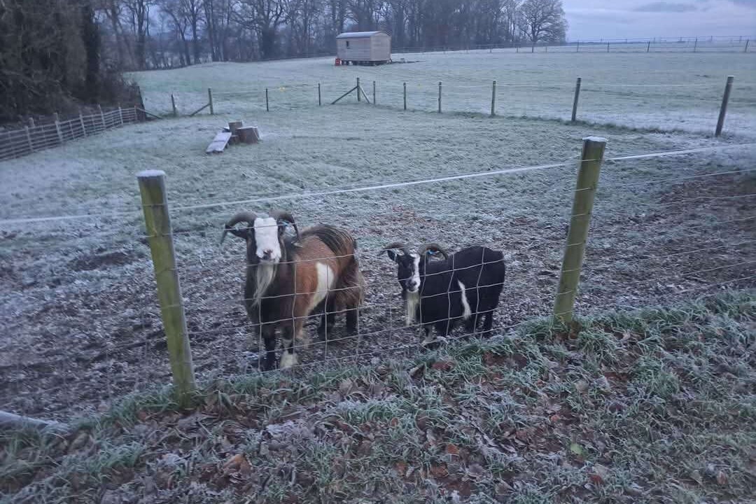 Photo of Others in Wickham