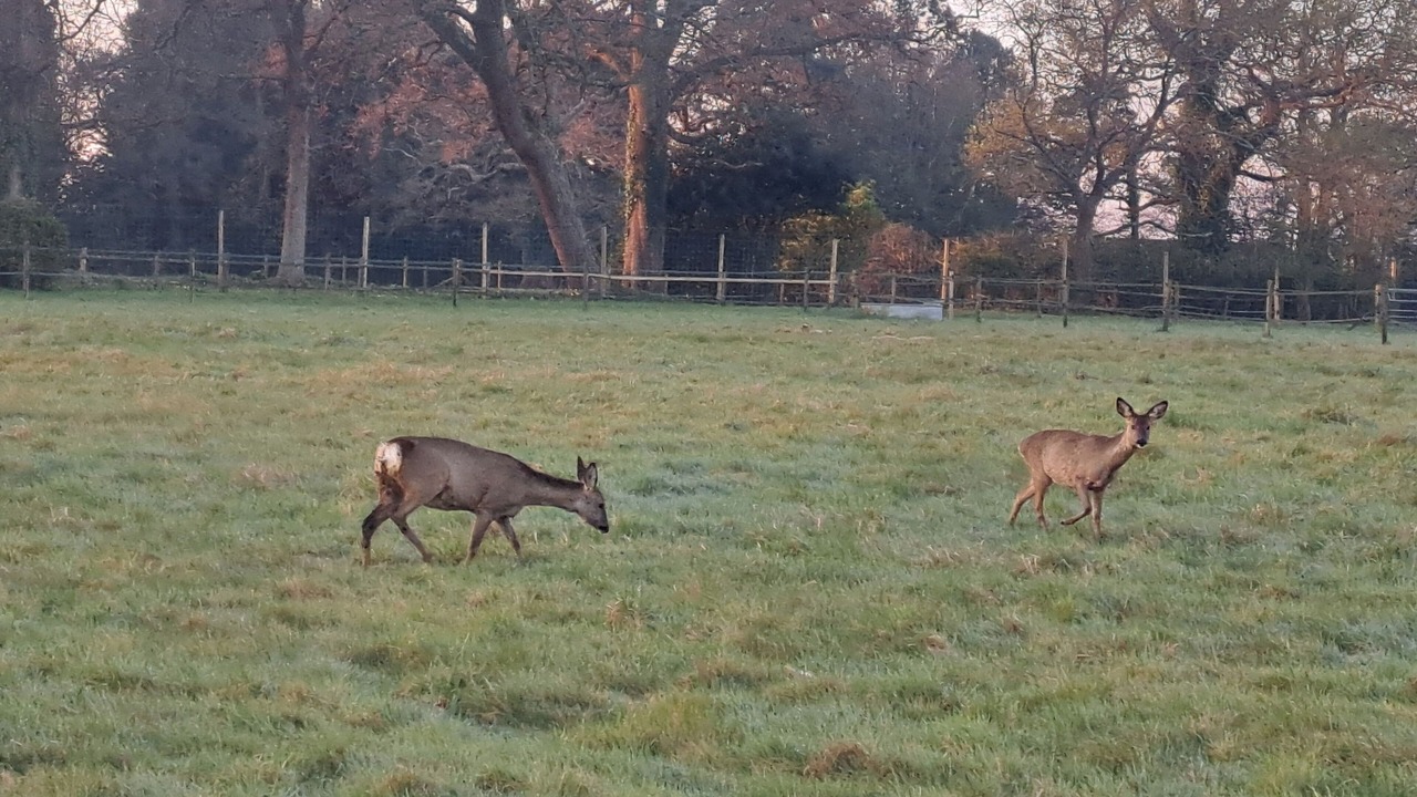 Photo of Others in Wickham