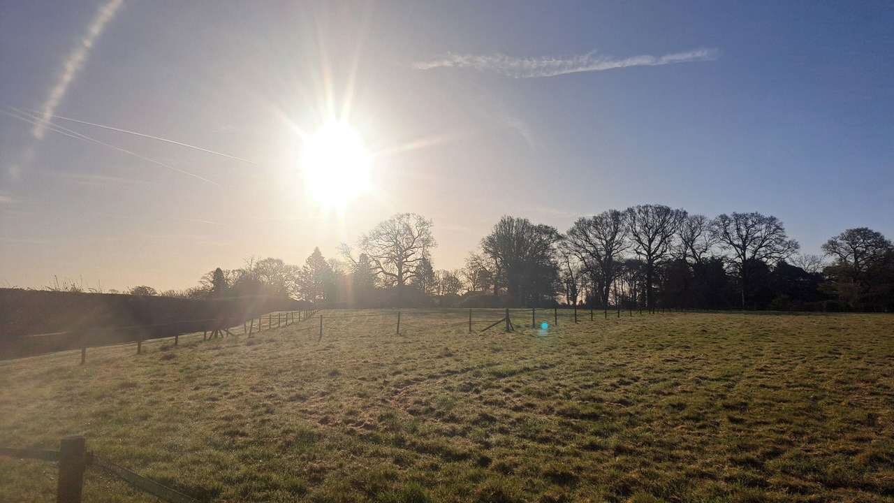 Photo of Others in Wickham