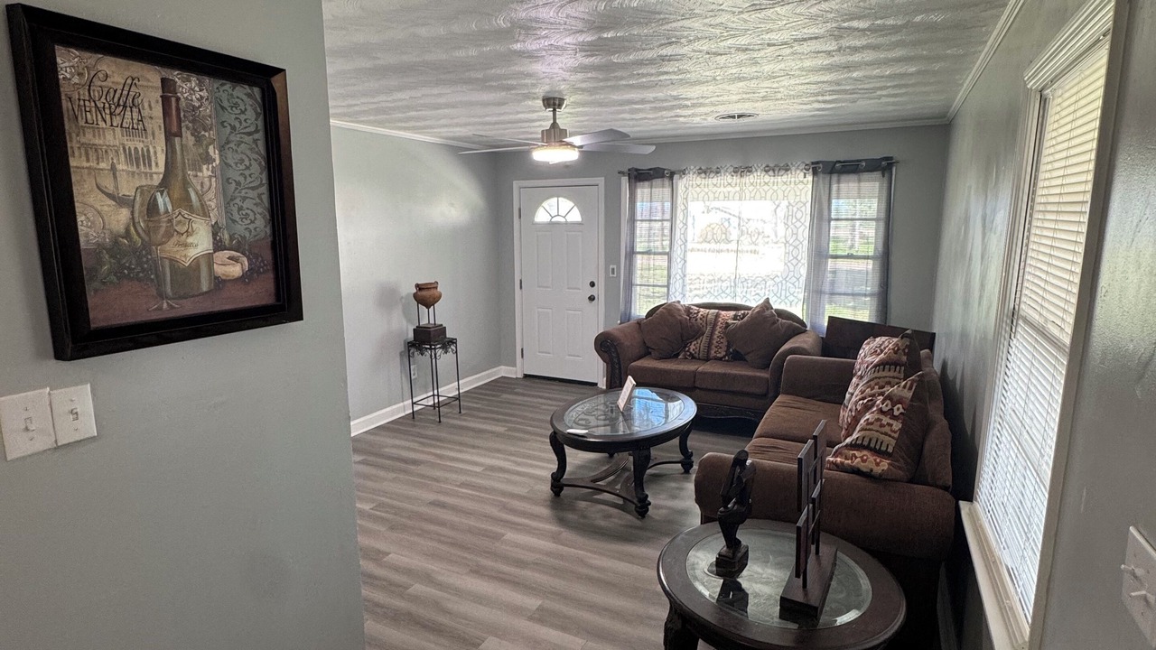 Photo of Livingroom in Hollandale