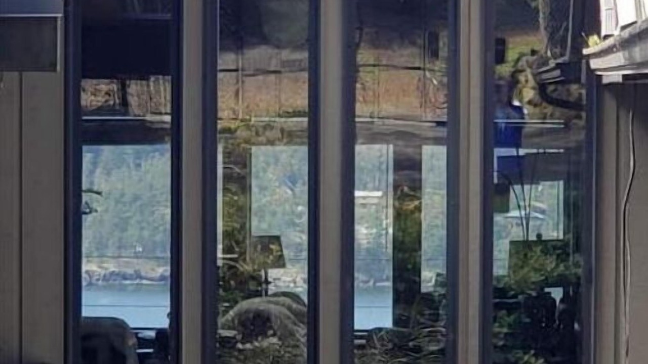 Photo of Others in Eastsound