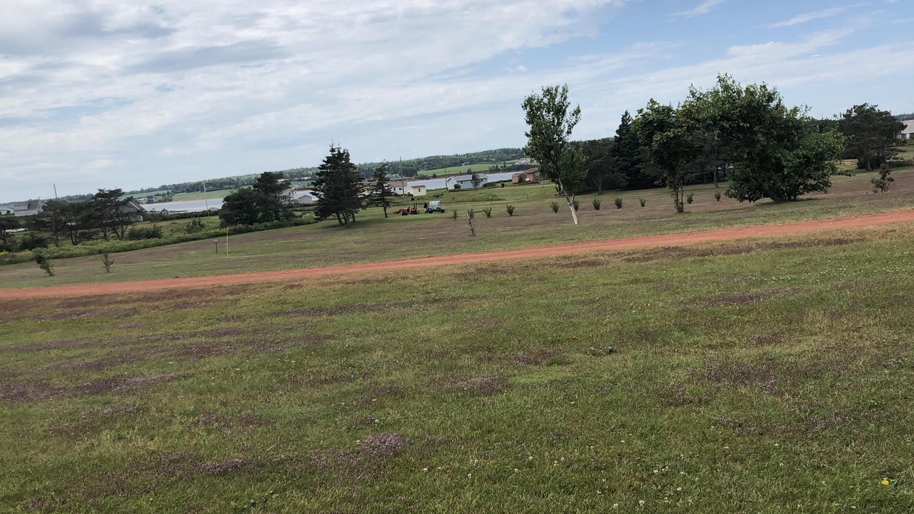Photo of Others in New London