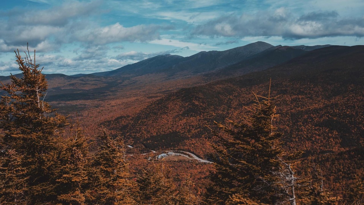 Photo of Others in Carroll