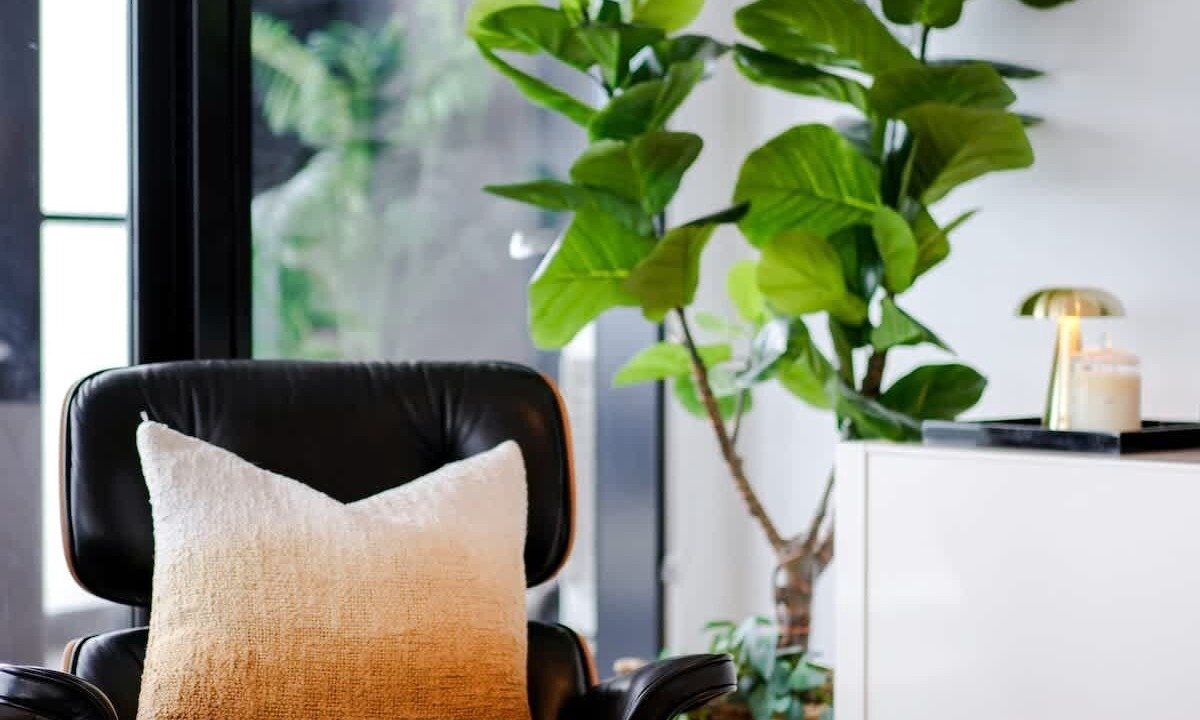 Photo of Others in Heidelberg Heights