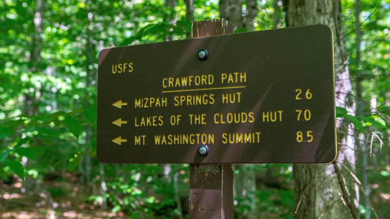 Photo of Others in Carroll