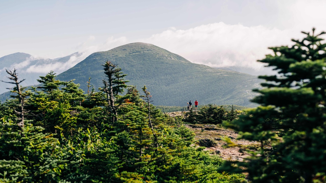 Photo of Others in Carroll