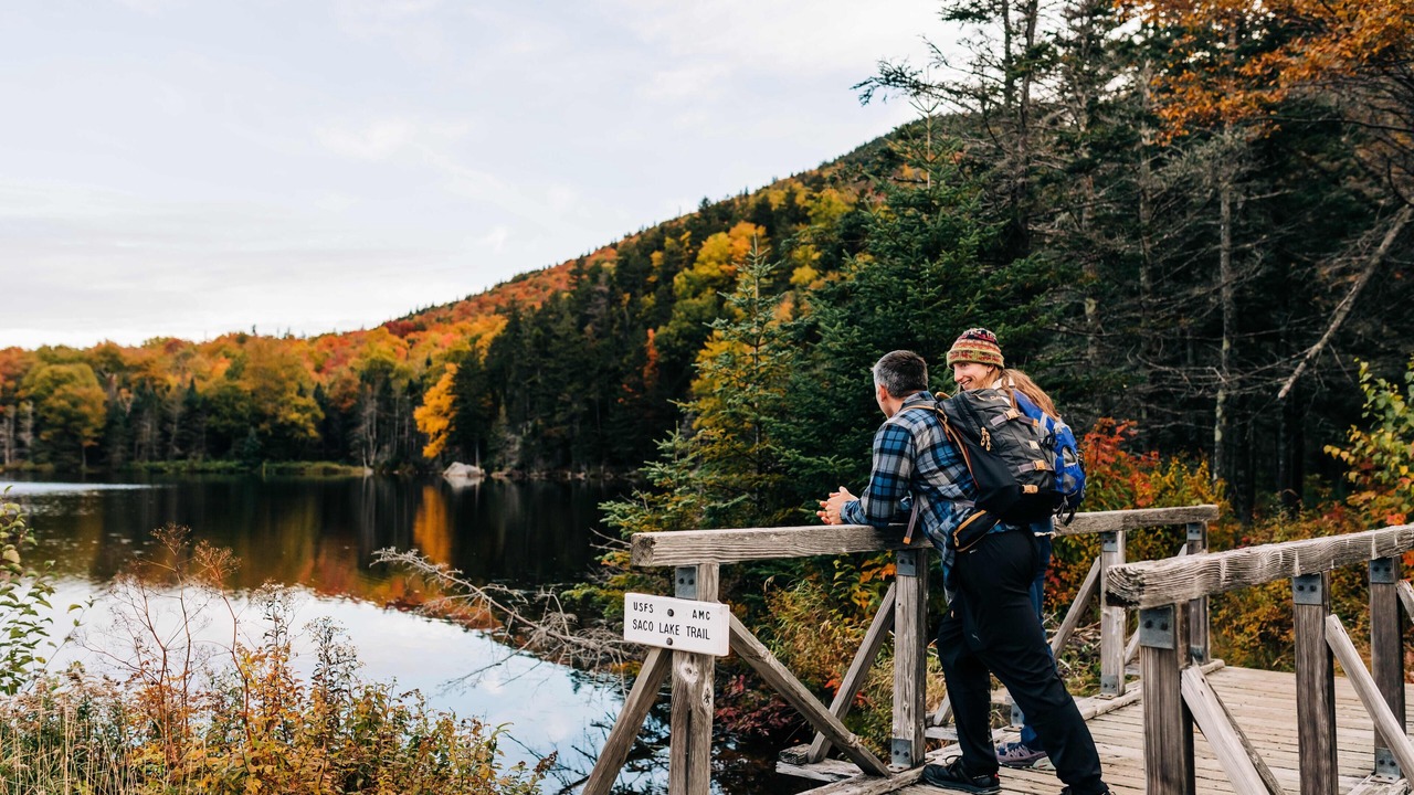 Photo of Others in Carroll