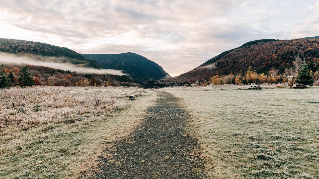 Photo of Others in Carroll