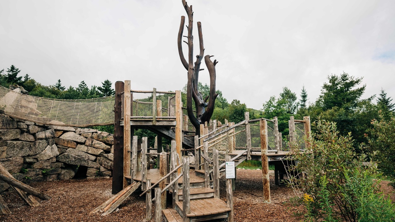 Photo of Others in Carroll