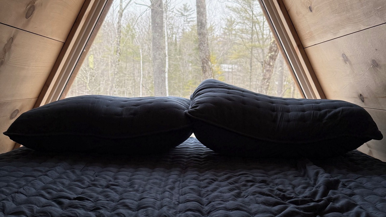 Photo of Bedroom in Oakland