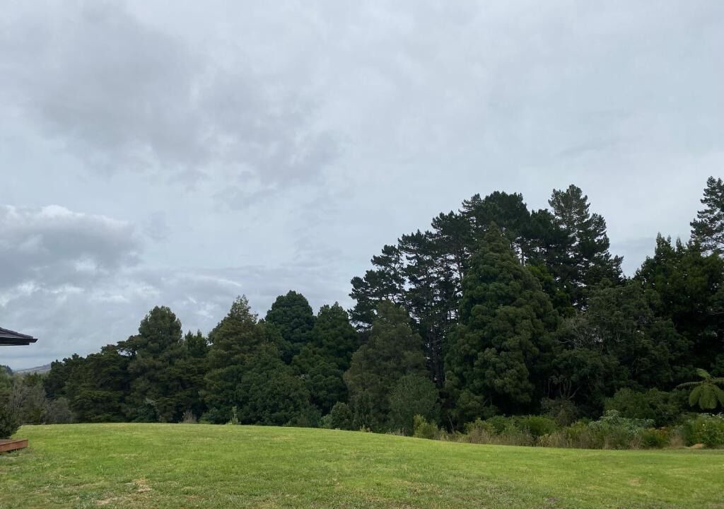 Photo of Others in Buckland