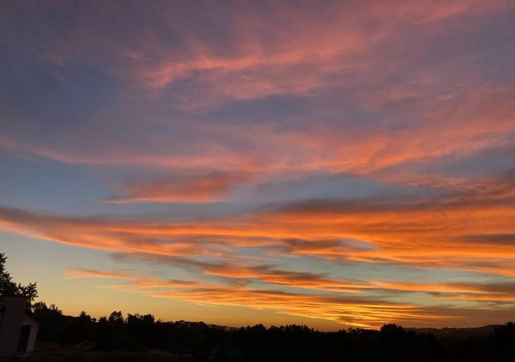 Photo of Others in Buckland