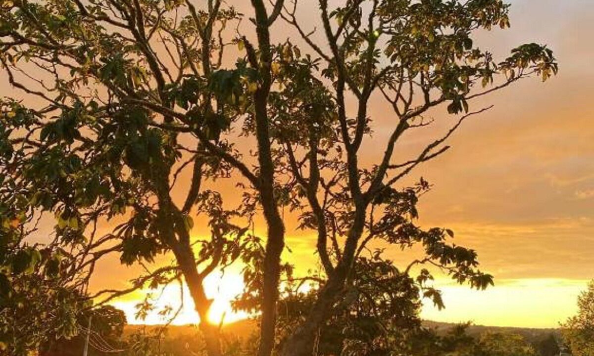 Photo of Others in Buckland