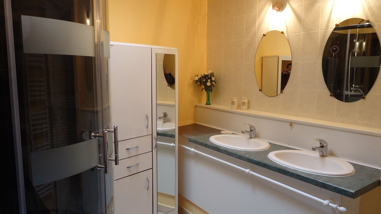 Photo of Bathroom in Julienas