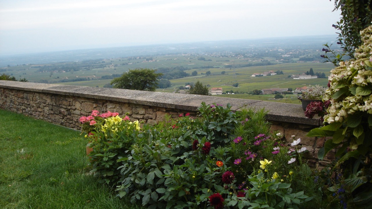 Photo of Outdoor in Julienas