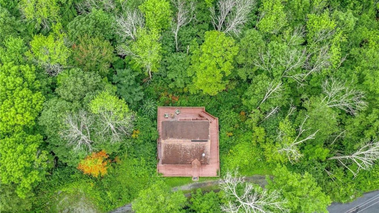 Photo of Outdoor in Hunter