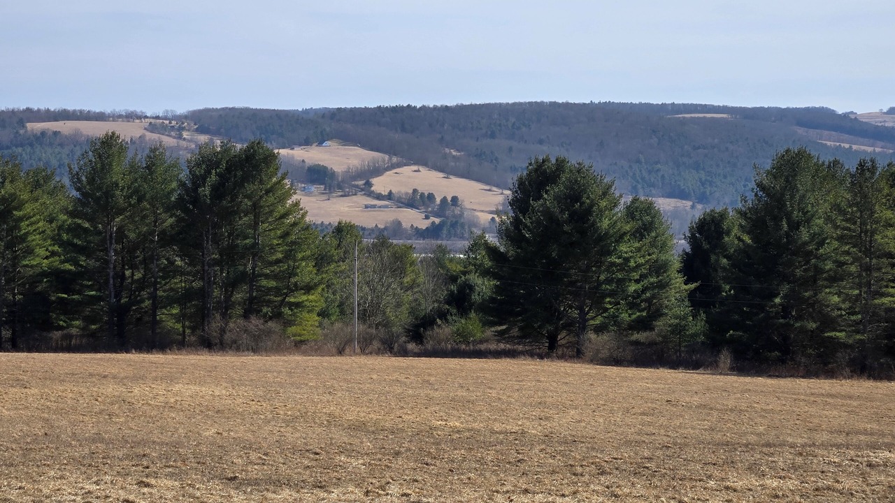 Photo of Others in Cowanesque