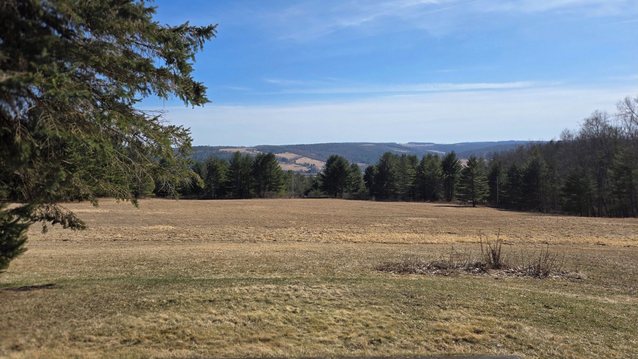 Photo of Others in Cowanesque