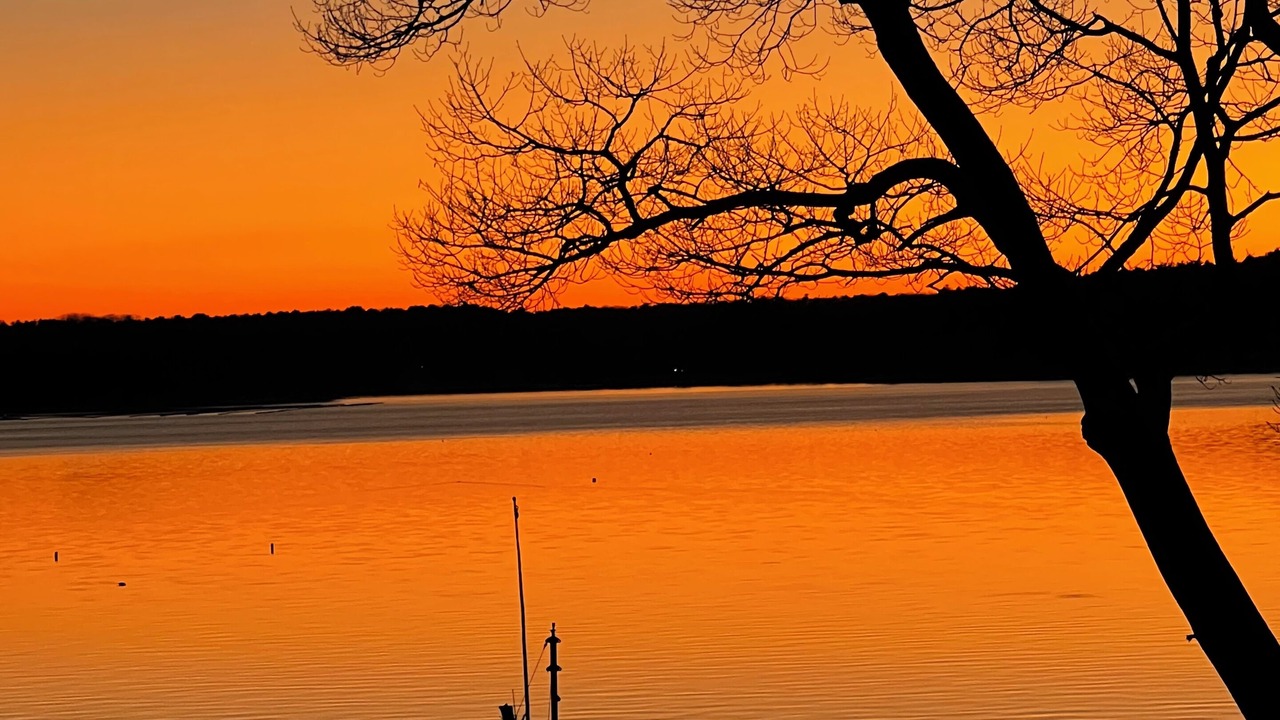 Photo of Others in South Bristol