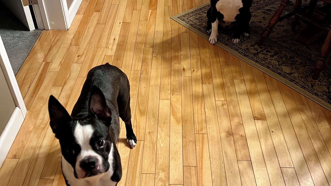 Photo of Others in South Bristol