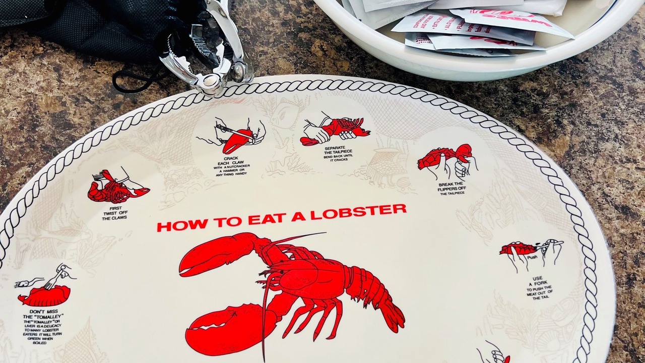 Photo of Others in South Bristol