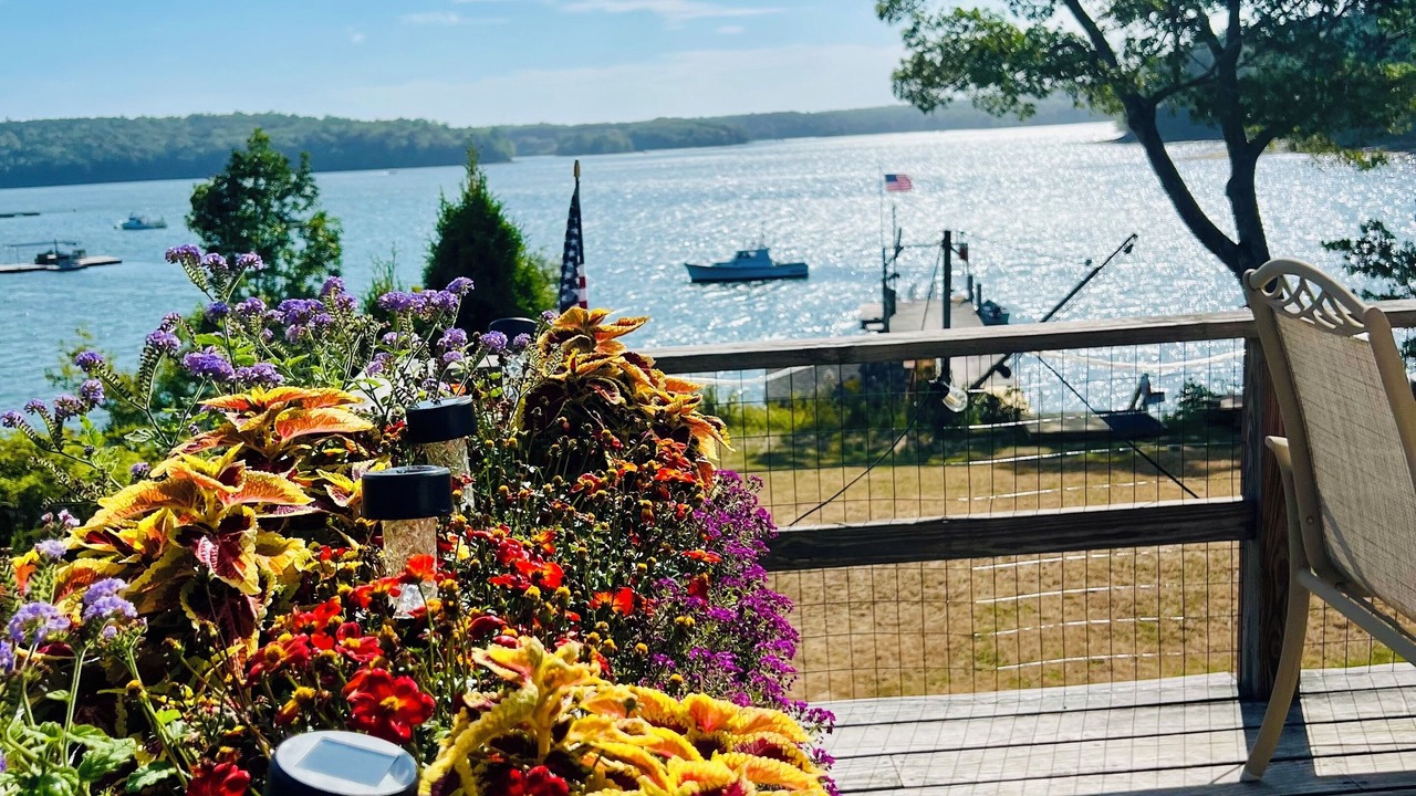 Photo of Others in South Bristol