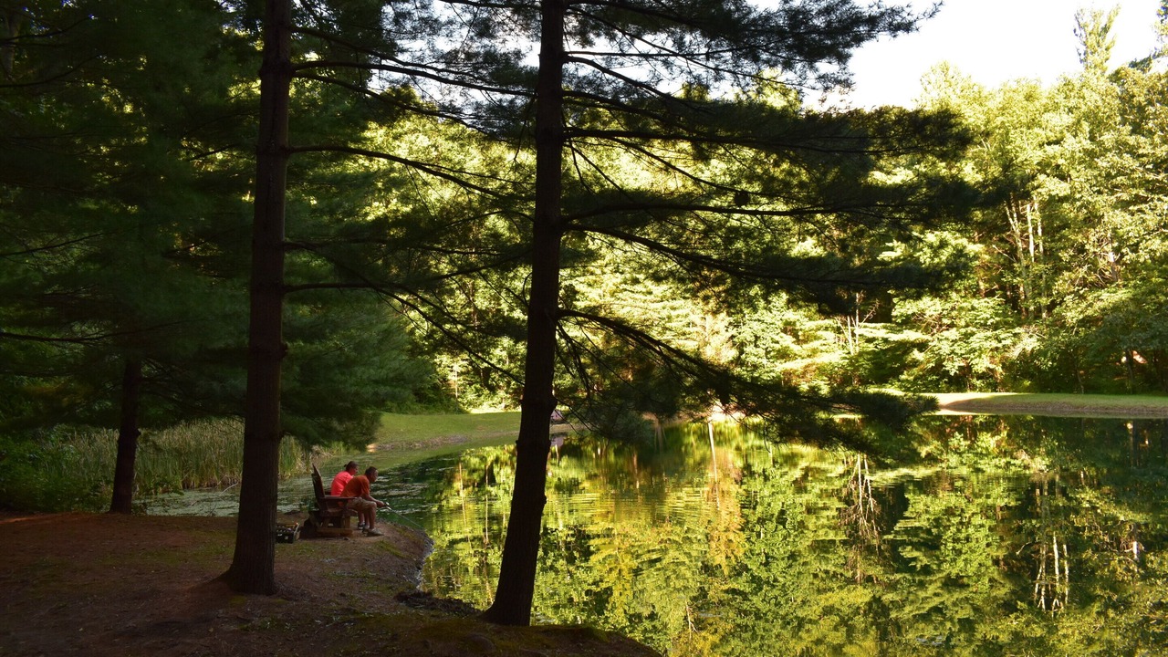 Photo of Others in Laurelville