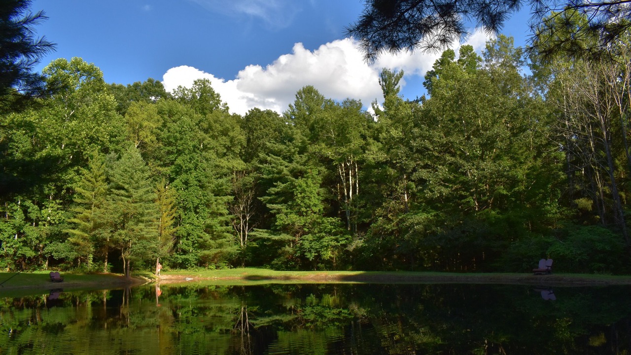 Photo of Others in Laurelville