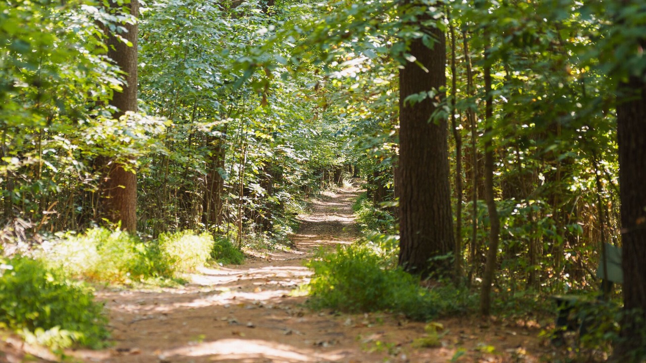 Photo of Others in Laurelville