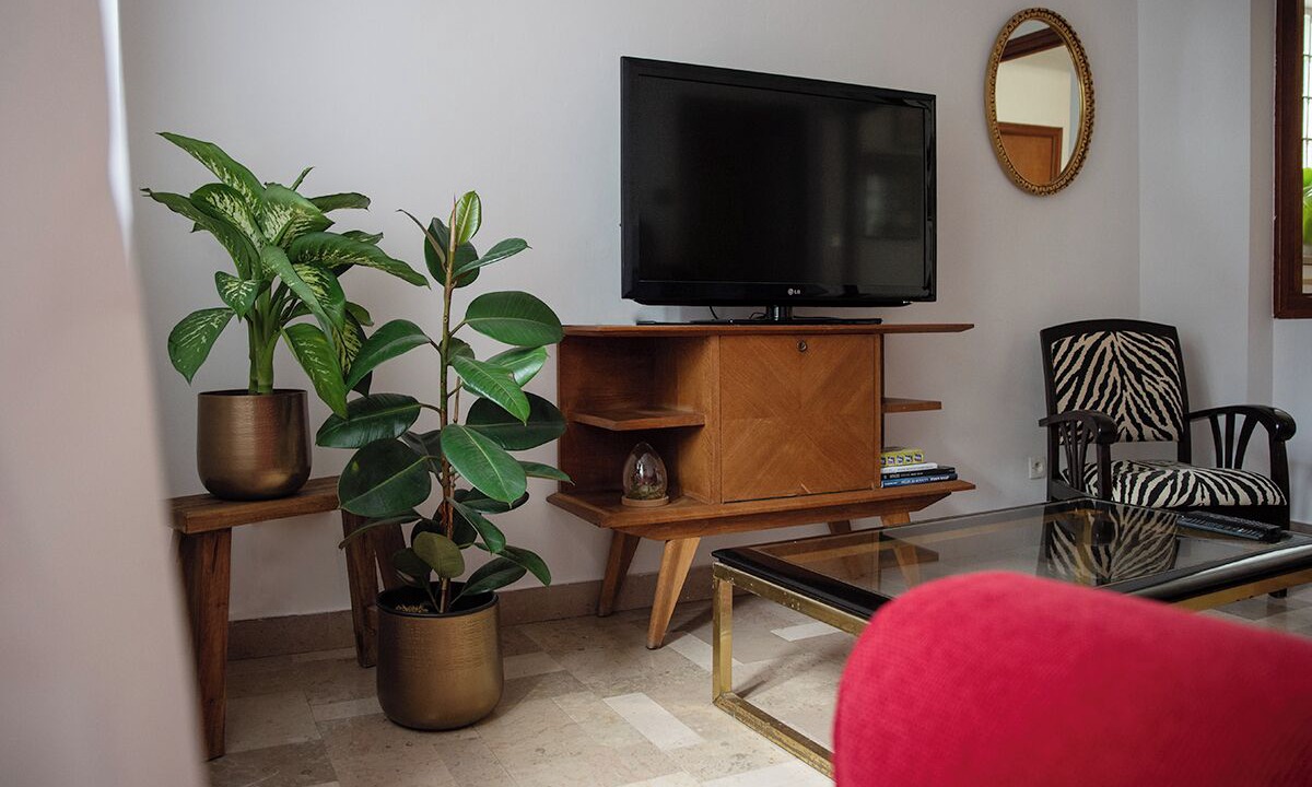Photo of Livingroom in Prats-de-Mollo-la-Preste